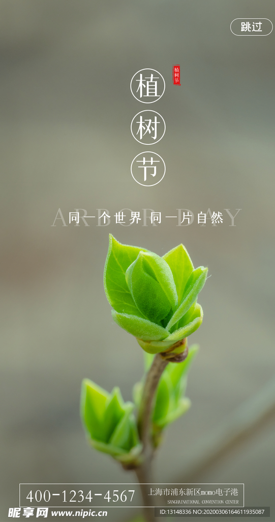 植树节
