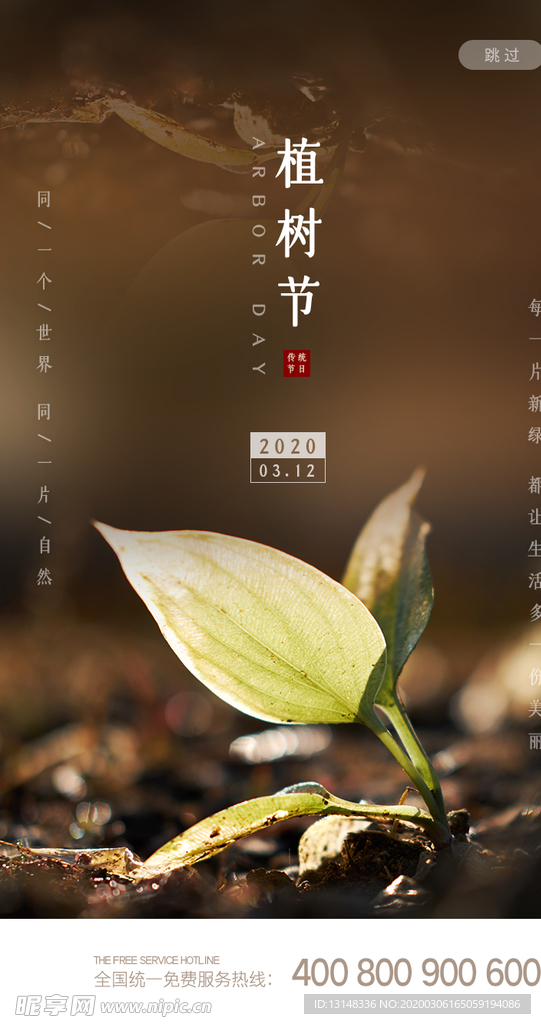 植树节
