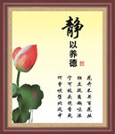 静以养德