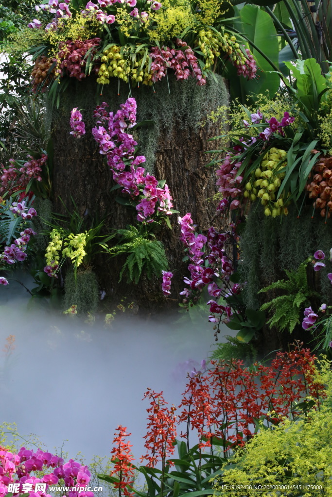 水雾兰花风景