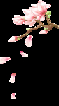 桃花设计素材