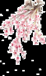 梅花素材