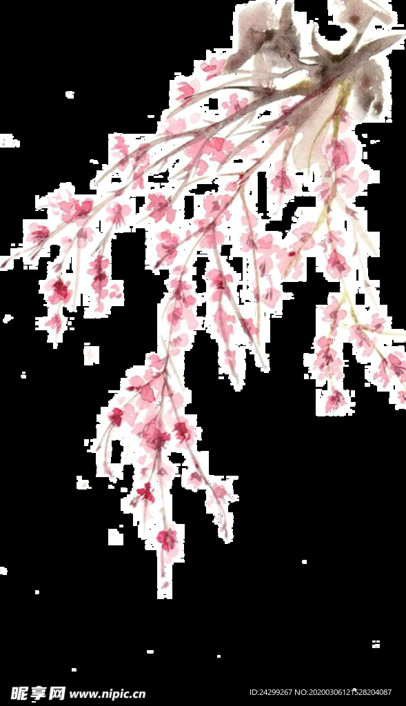 梅花素材