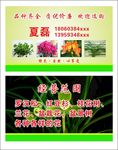 夏磊盆栽名片