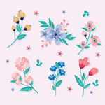 花图片