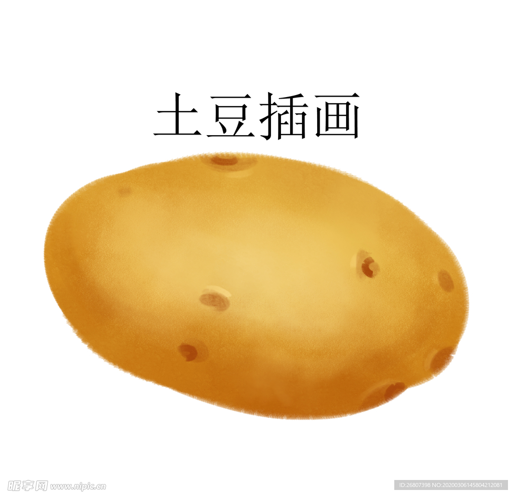 土豆插画