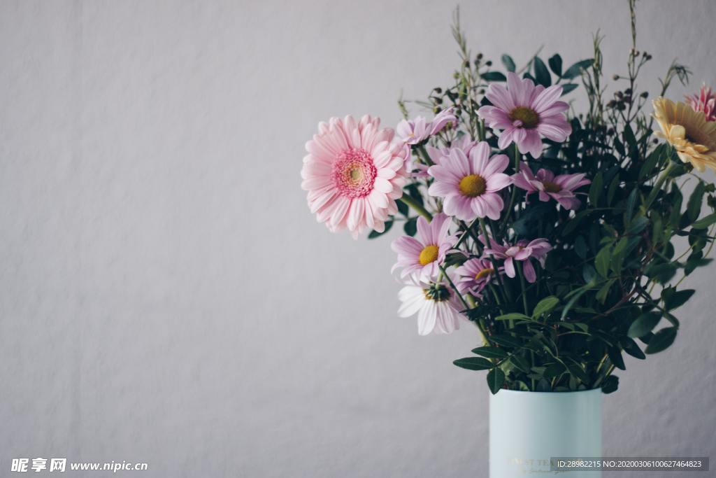 一束菊花
