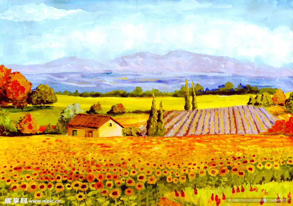 葵花 村庄油画