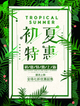 初夏特惠