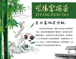 富硒茶
