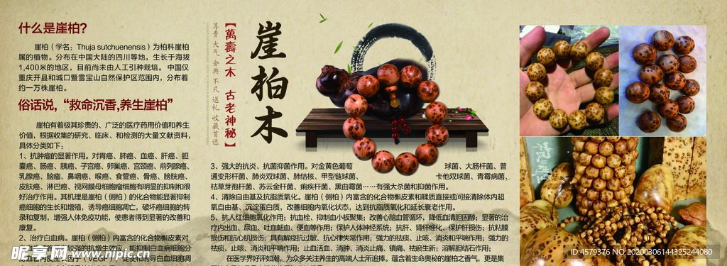 崖柏