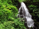山水