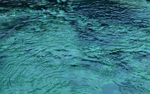 河水