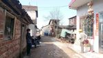 自然景观