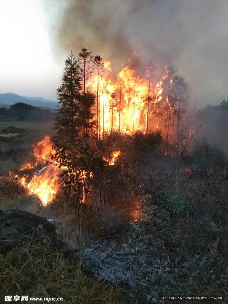 山火明火