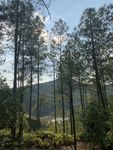 自然美景