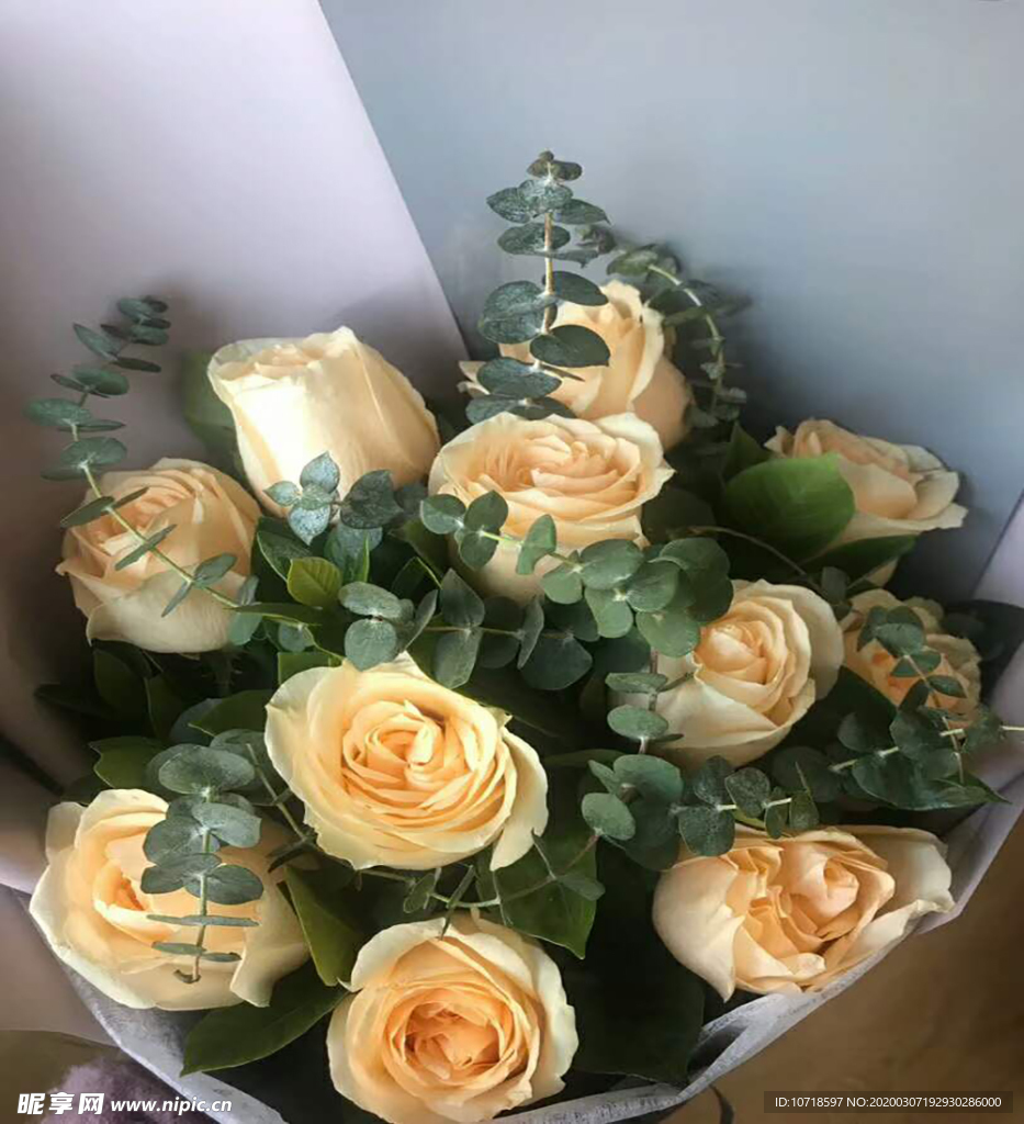 玫瑰花