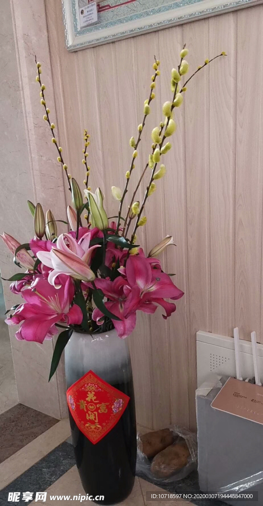 花卉鲜花