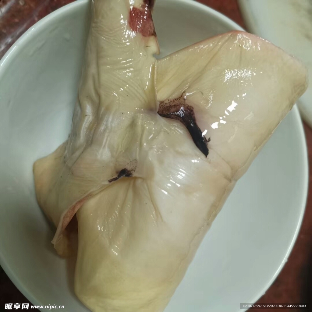 鸡肉