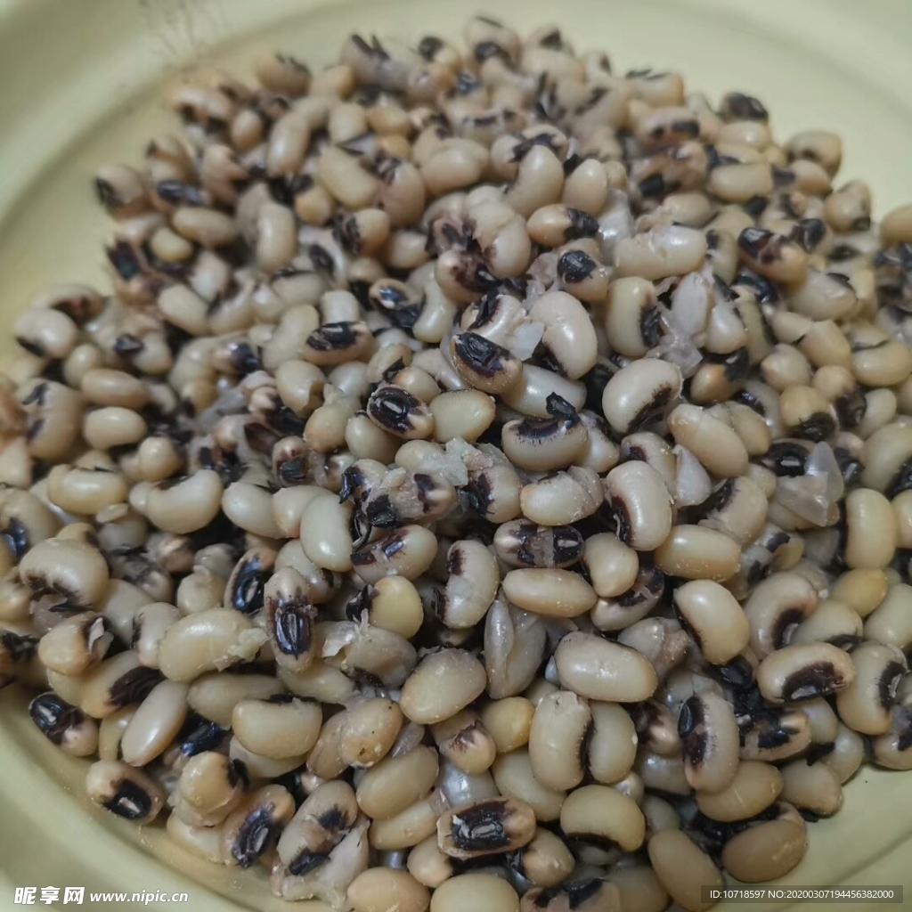 豆子