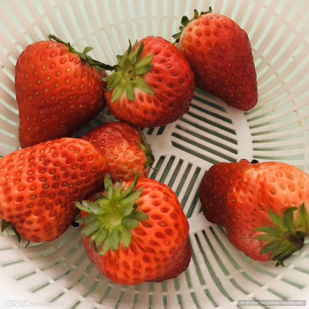 草莓