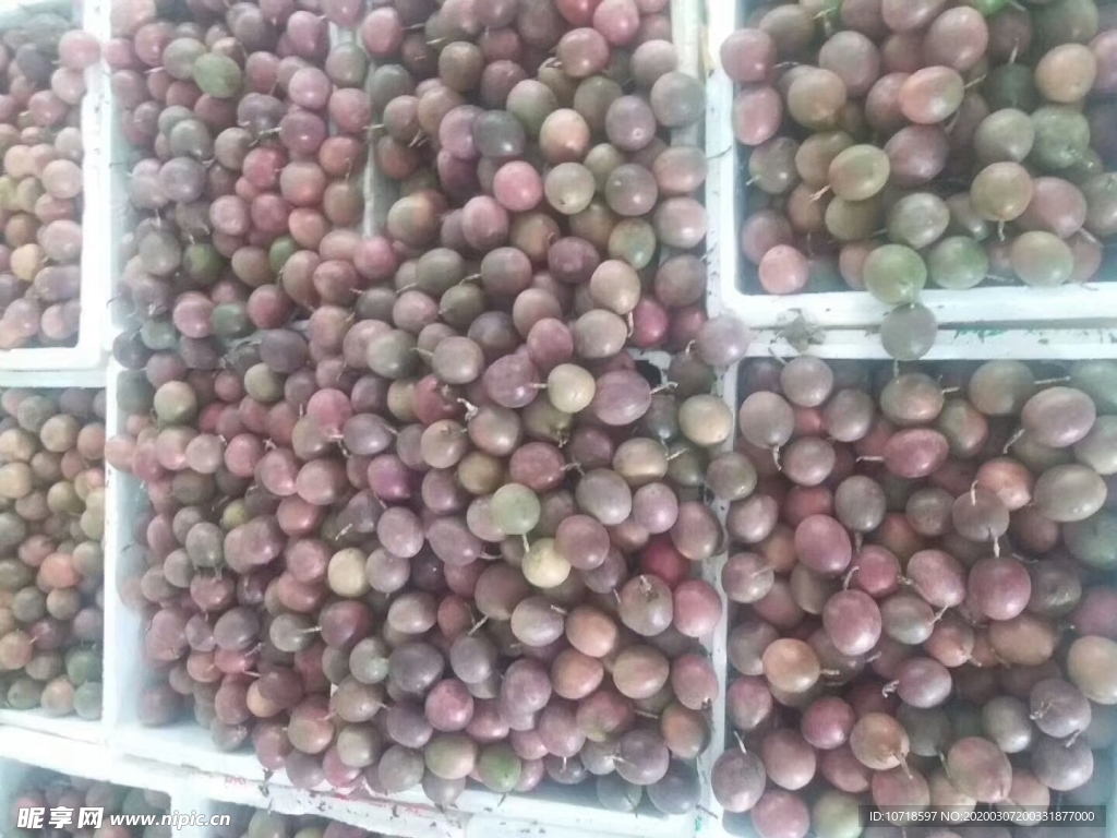 百香果