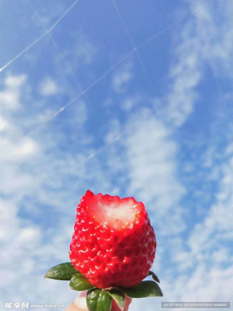 草莓