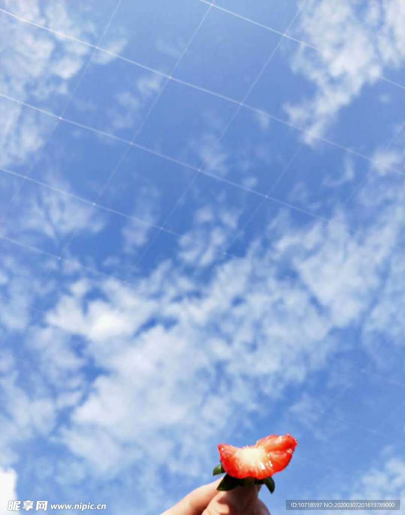 草莓