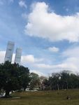 高楼建筑
