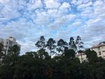 自然景观