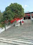 自然景观