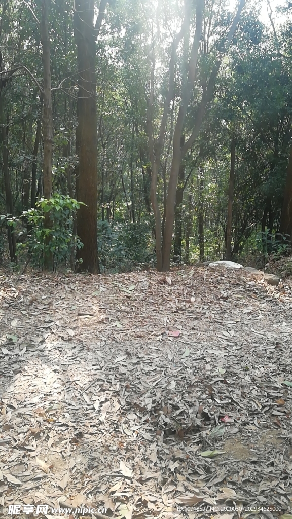 自然景观