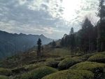自然美景