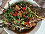 传统美食