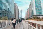 高楼建筑