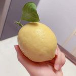 柠檬