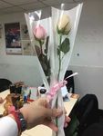 花卉鲜花