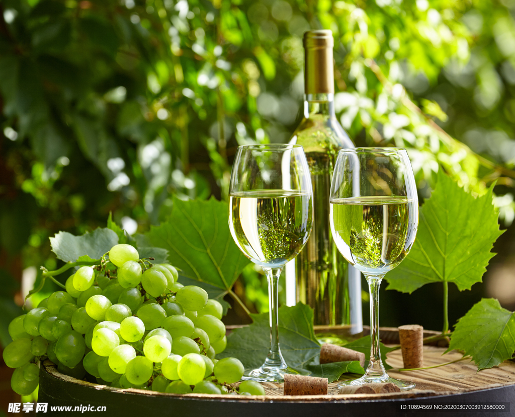 餐厅里，常见的白葡萄酒有哪些？-葡萄品种葡萄酒-吃酒品鉴-
