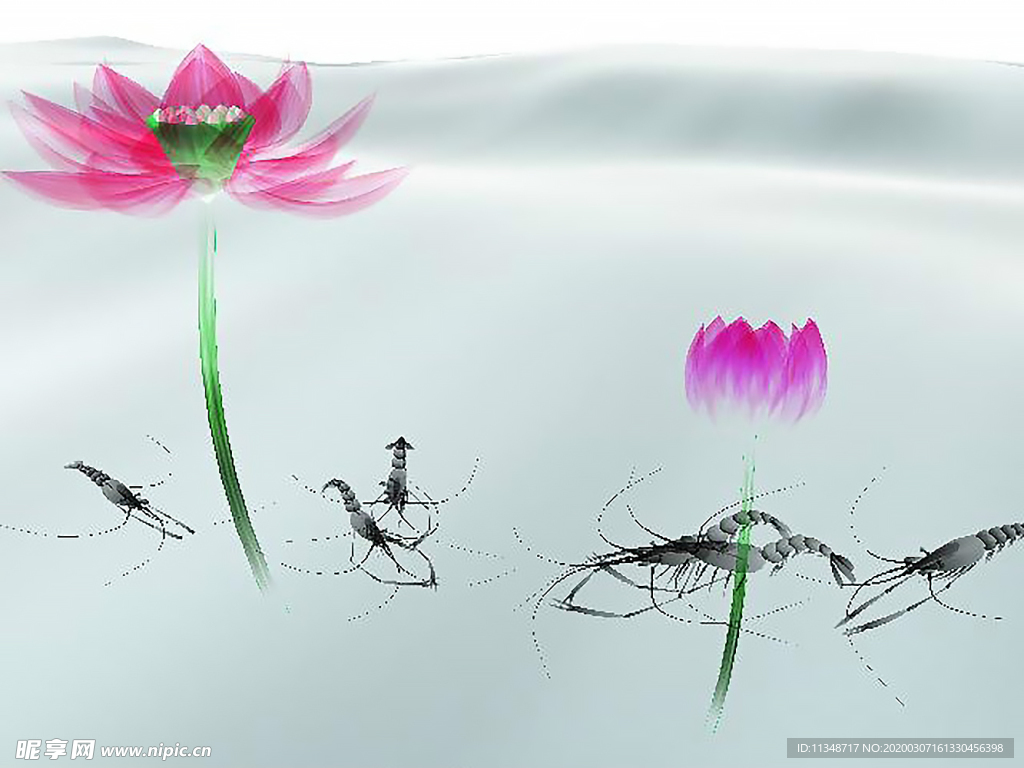 虾