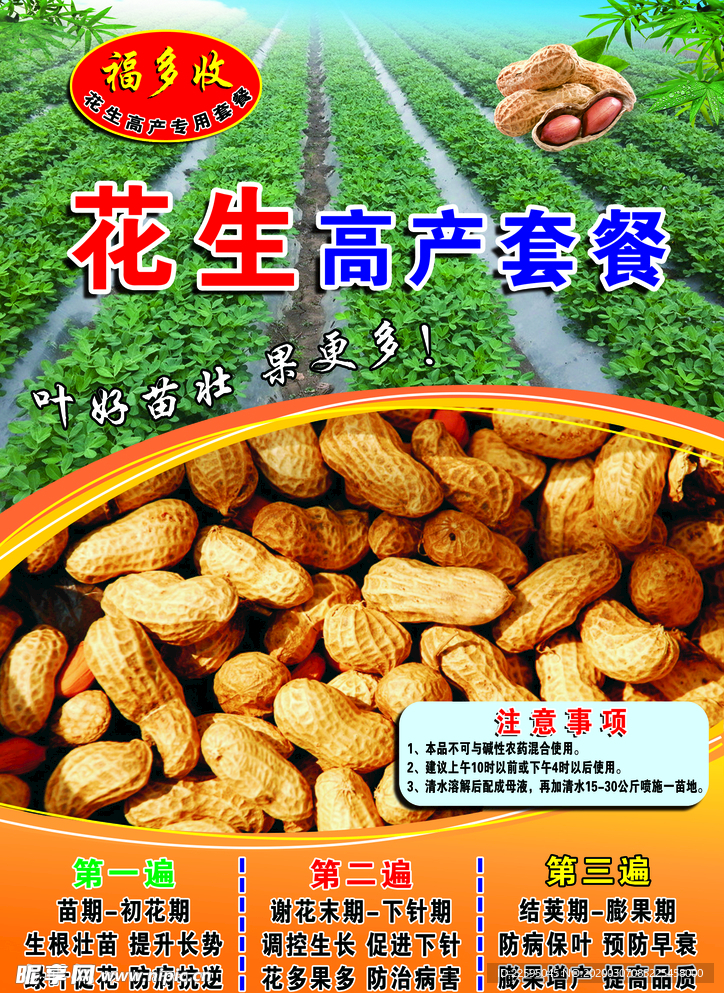 花生海报
