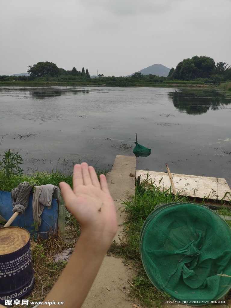 阳山