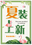 夏装上新
