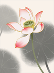 现代简约装饰