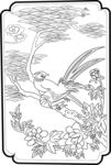 花鸟