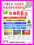 飞舞艺术培训中心彩页