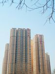 宜佳上东城8号楼