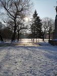 风景  雪景