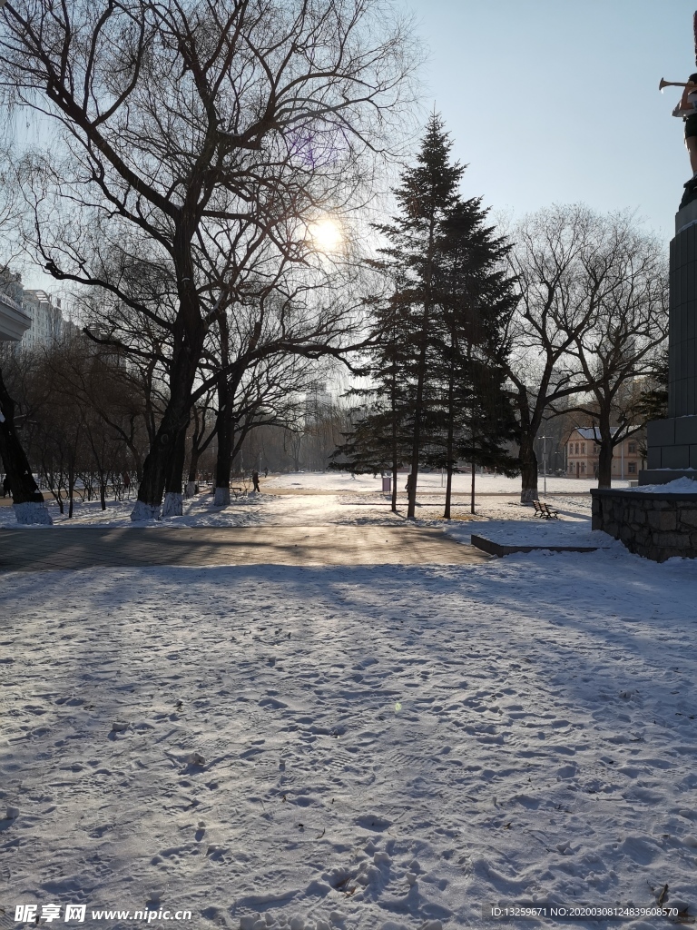 风景  雪景