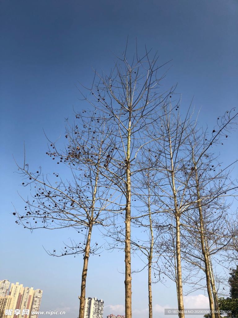 天空