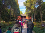 明孝陵旅游